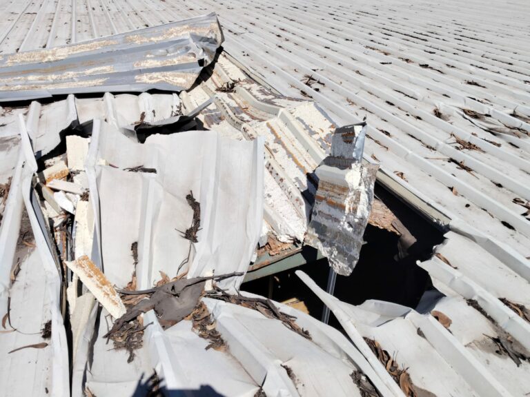 WhatsApp Image 2025-10-17 at 11.55.04 AM (1)