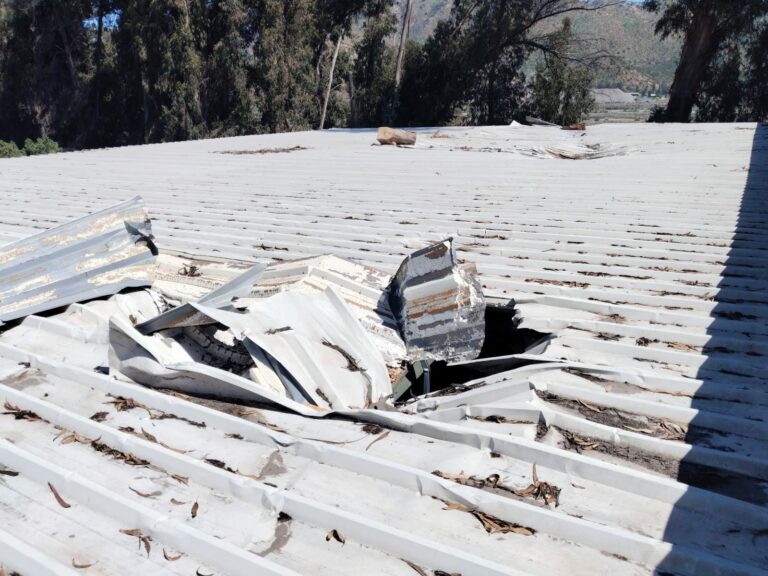 WhatsApp Image 2025-10-17 at 11.55.06 AM (1)