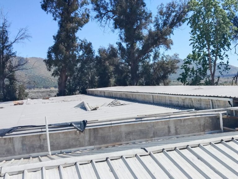 WhatsApp Image 2025-10-17 at 11.55.06 AM