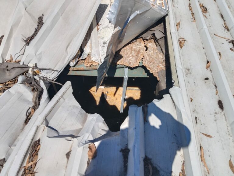 WhatsApp Image 2025-10-17 at 11.55.07 AM