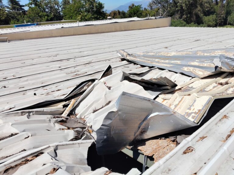 WhatsApp Image 2025-10-17 at 11.55.10 AM